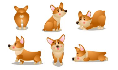 Kahverengi Corgi Köpek Hayvanı günlük işleri vektör illüstrasyonuyla yapıyor