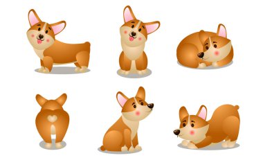 Farklı şekillerde dost canlısı kahverengi corgi köpekleri vektör illüstrasyonu oluşturur