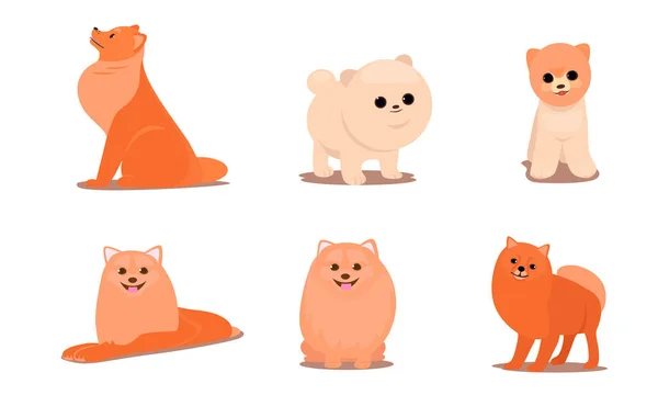 Amical brun chiens pelucheux dans différentes poses illustration vectorielle — Image vectorielle