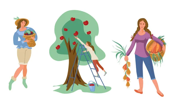 Conjunto de mujeres agricultoras recogiendo alimentos ecológicos naturales del jardín. Ilustración vectorial en estilo plano de dibujos animados . — Vector de stock