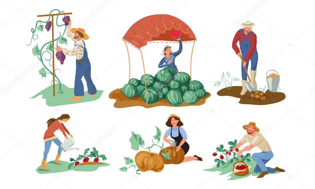 Set of various farmer people collecting natural eco food from the garden. Vector illustration in flat cartoon style.