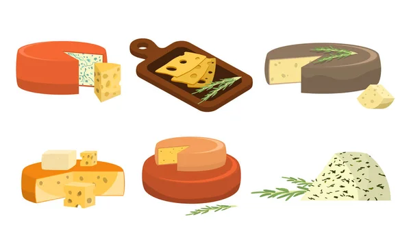 Conjunto de diferentes tipos de queijos frescos. Ilustração vetorial em estilo de desenho animado plano . — Vetor de Stock