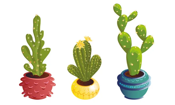 Set van drie decoratieve cactussen in potten met stekels en bloeiende bloemen. Vector set illustratie in platte cartoon stijl — Stockvector