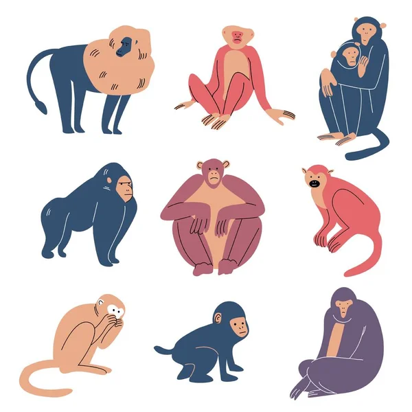 Ensemble de divers singes faisant des choses quotidiennes illustration vectorielle — Image vectorielle