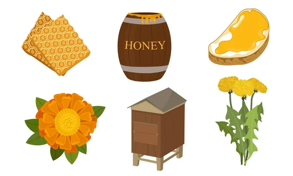 Набір різних предметів і етапів виробництва меду Векторні ілюстрації — стоковий вектор
