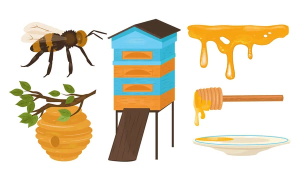 Uppsättning av olika objekt och steg för honungsproduktion vektor illustration — Stock vektor