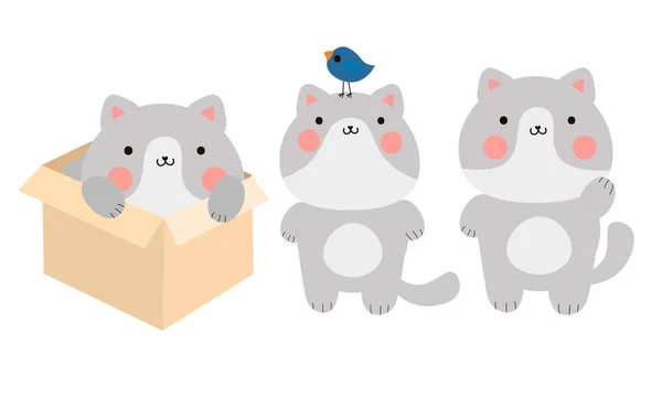 Drôle mignon heureux gris chats appréciant la vie vectorielle illustration — Image vectorielle
