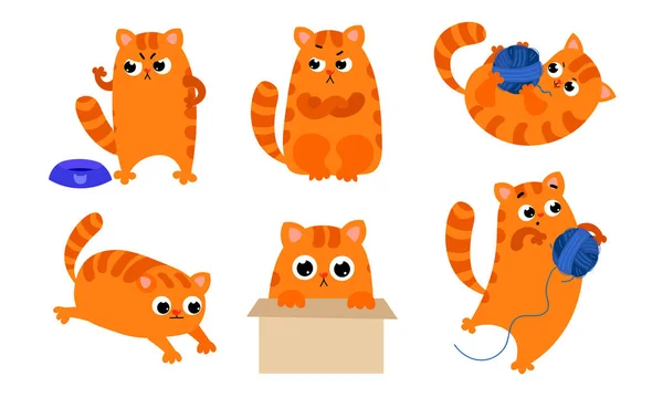 Serie del gatto rossiccio carino con emozioni diverse in varie situazioni di azione. Illustrazione vettoriale in stile fumetto piatto . — Vettoriale Stock