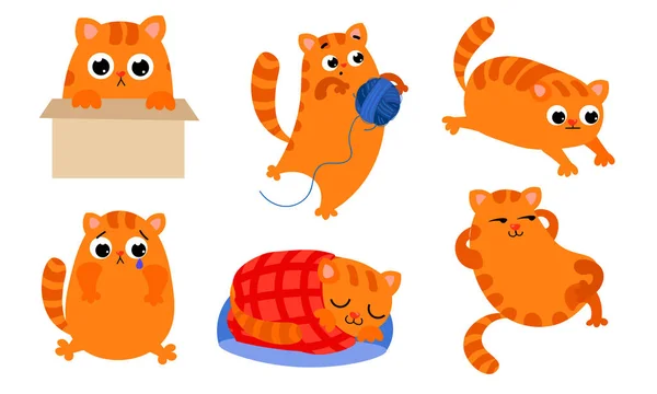 Conjunto de la linda jengibre gato con diferentes emociones en diversas situaciones de acción. Ilustración vectorial en un estilo plano de dibujos animados . — Archivo Imágenes Vectoriales