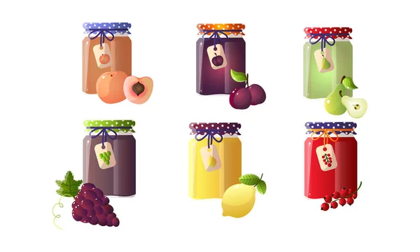 Olika sylter i burkar med persika, plommon, päron, citron, vinbär, druva. Vektor illustration i platt tecknad stil. — Stock vektor