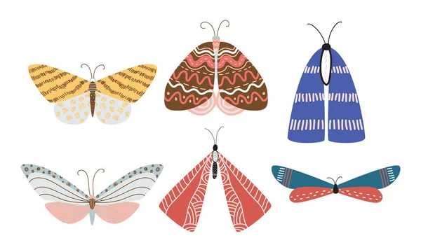 Conjunto de diferentes mariposas coloridas hermosas aisladas con varios patrones — Vector de stock