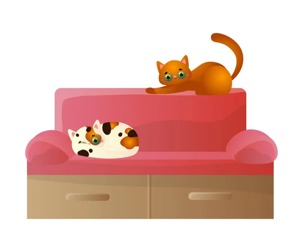 柔らかい赤いソファに枕で休んでいるかわいい国内の2匹の猫。平面漫画風のベクトルイラスト. — ストックベクタ