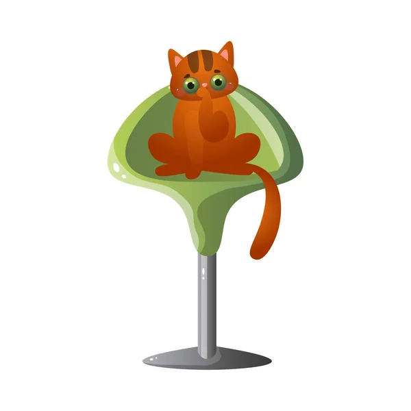 Mignon chat rouge domestique personnage assis sur la grande chaise verte. Illustration vectorielle en style dessin animé plat — Image vectorielle
