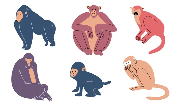 Ensemble de caractères singes de différents types illustration vectorielle — Image vectorielle