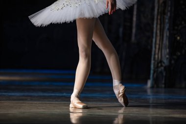 Fındıkkıran balesi. Dans eden balerinlerin yakın çekimi