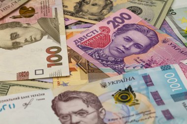 Dolar, Avro ve Hryvnia banknotları 