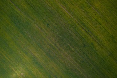 İHA 'dan yeşil alana hava görüntüsü