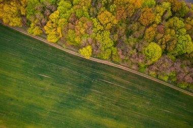 İHA 'dan orman ve tarlaya hava görüntüsü