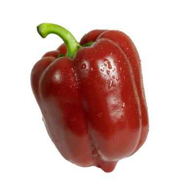Su damlalarıyla izole edilmiş kırmızı dolma biber. 