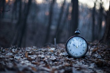 Ormandaki kuru yaprakların üzerindeki çalar saat, hayatın söndüğü ve acele etmesi gerektiği anlamına gelir.