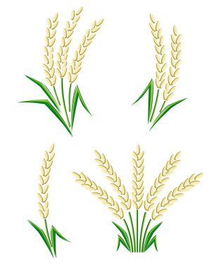 Pirinç Icon set. 