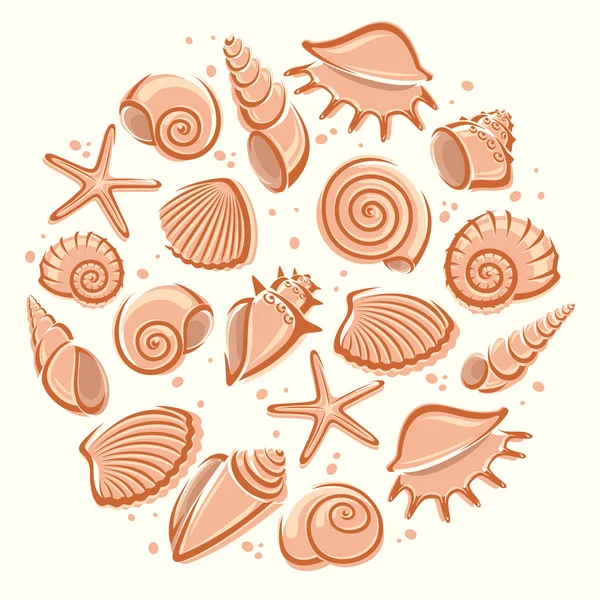 Seashells and shells background — Stock Vector