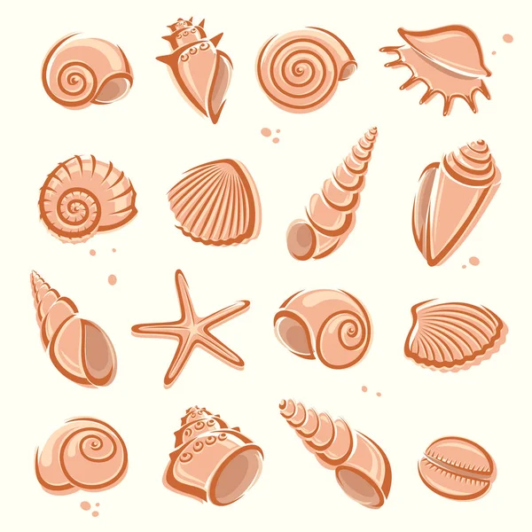 Fondo de conchas y conchas marinas — Archivo Imágenes Vectoriales