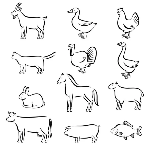 Grupo de animales de granja . — Vector de stock