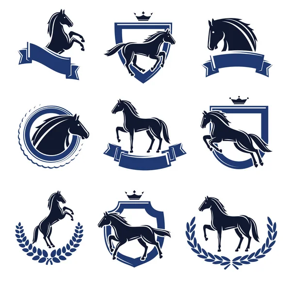 Set de etiquetas y elementos para caballos . — Vector de stock