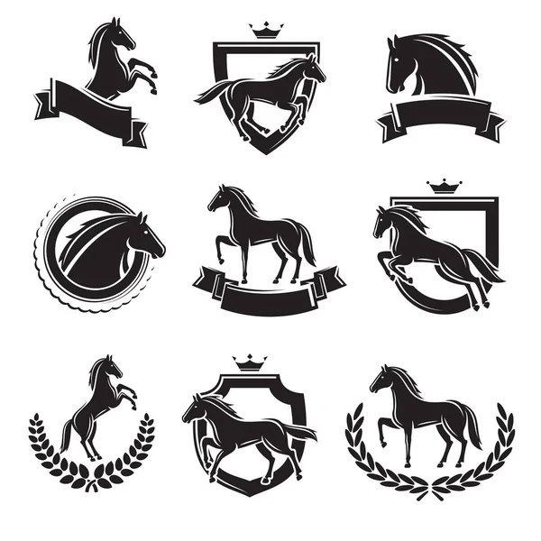 Étiquettes et éléments pour chevaux . — Image vectorielle