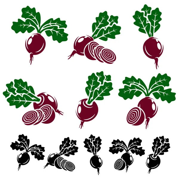 Beet roots set. — Stock Vector