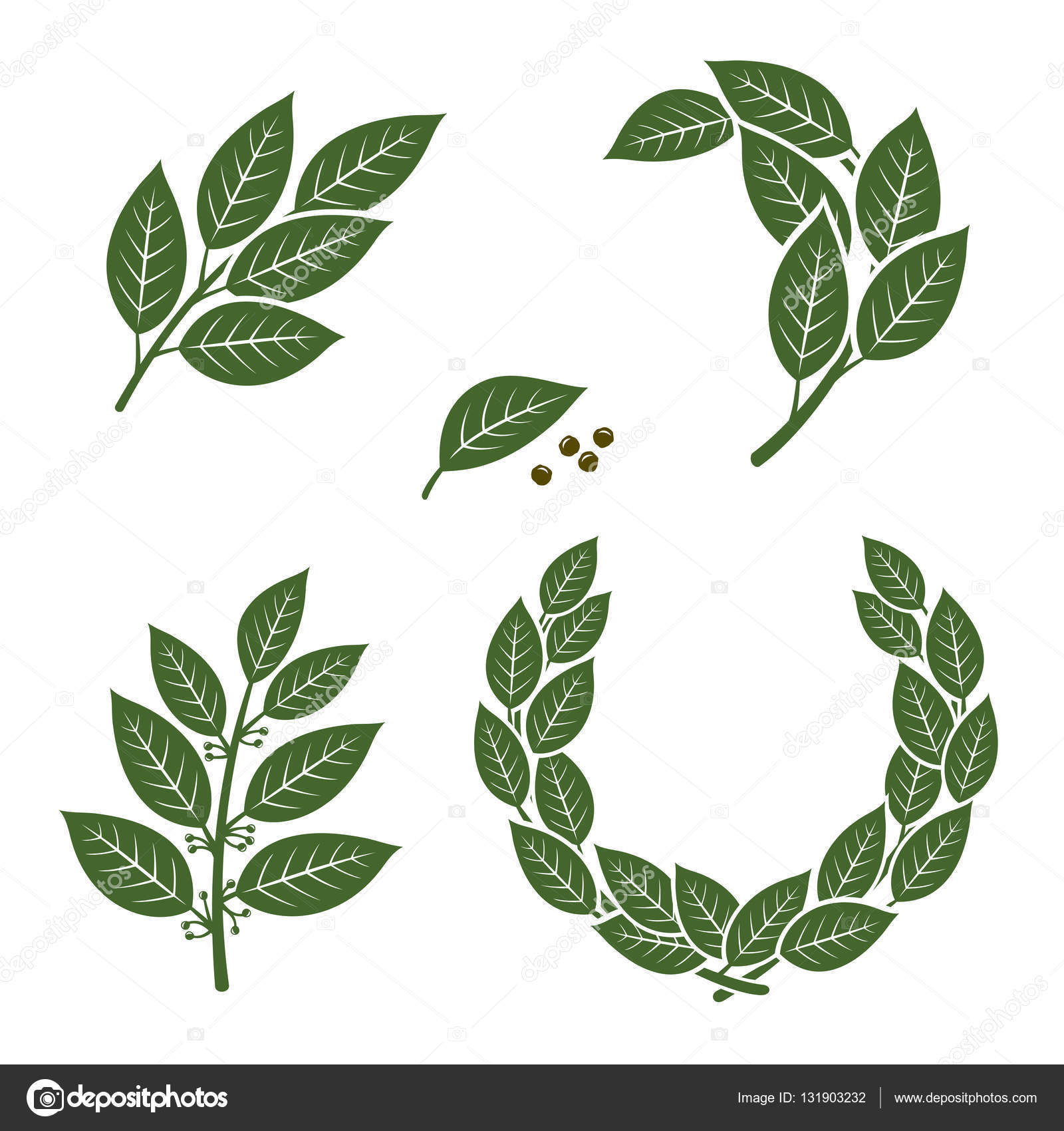 Bay leaf set Stock Vector by ©Vasilev_Ki 131903232