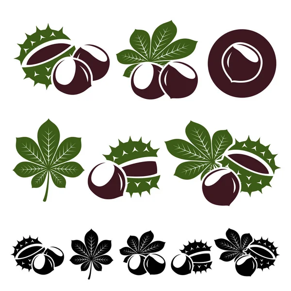 Chestnuts icon set. — Stock Vector