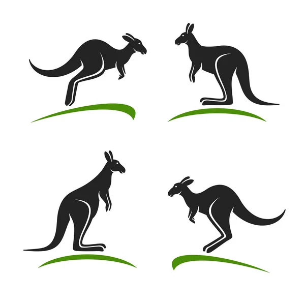 Zestaw kangura. Wektor — Wektor stockowy