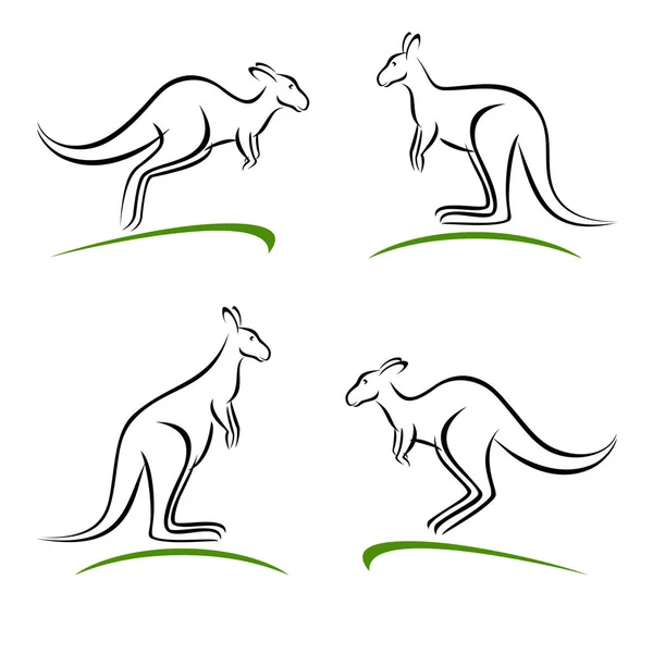 Ensemble de kangourous. Vecteur — Image vectorielle