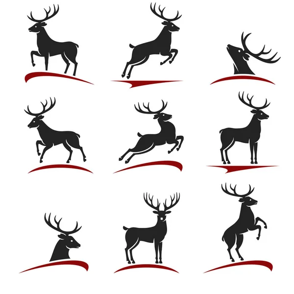 Deer set. Vector — Stock Vector