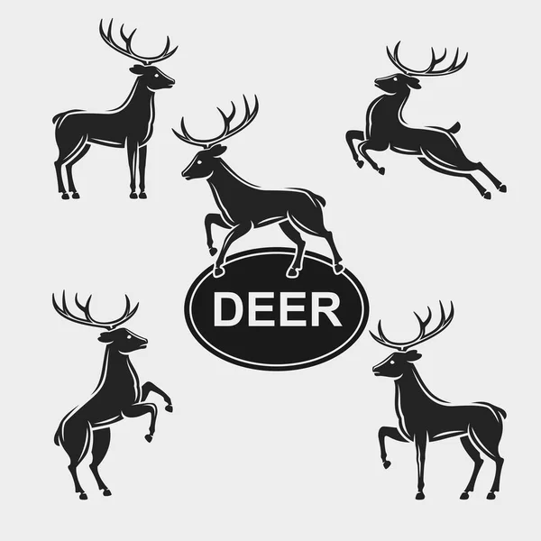 Deer set. Vector — Stock Vector