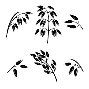 Yulaf ayarlayın. Vektör çizim