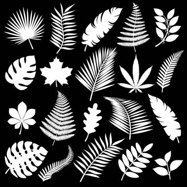 yaprakları kümesi. vektör