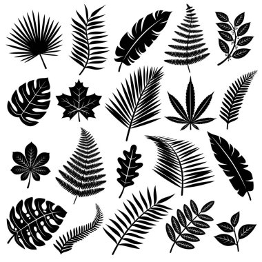 yaprakları kümesi. vektör