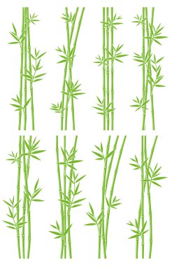 Bambu koleksiyonu kümesi. Vektör