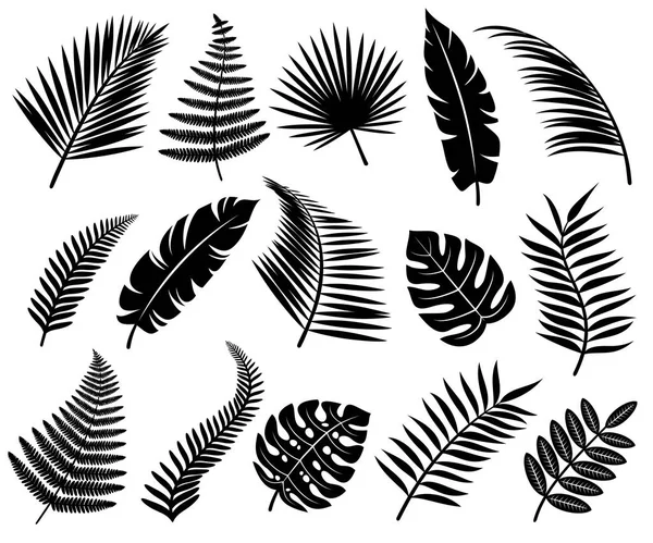 Conjunto de hojas tropicales. Vector — Archivo Imágenes Vectoriales