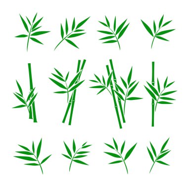 Bambu koleksiyonu kümesi. Vektör