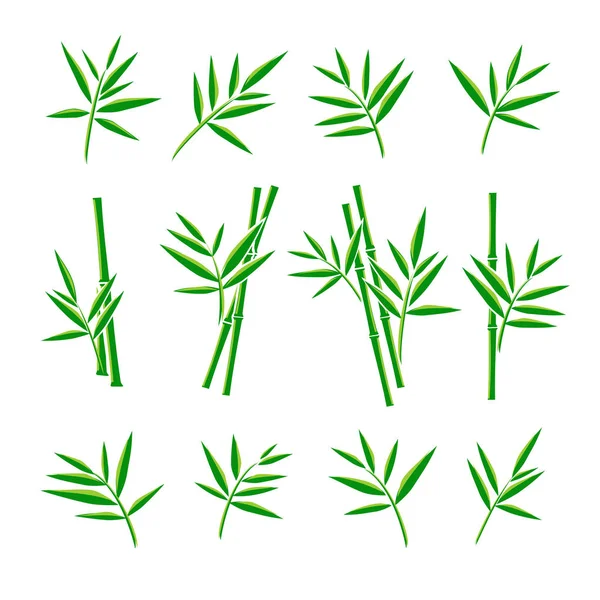 Bambu koleksiyonu kümesi. Vektör