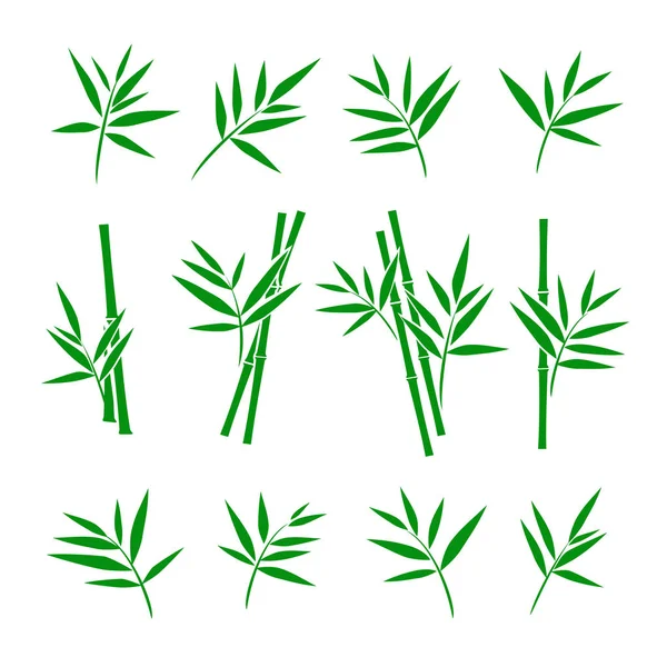 Bambu koleksiyonu kümesi. Vektör