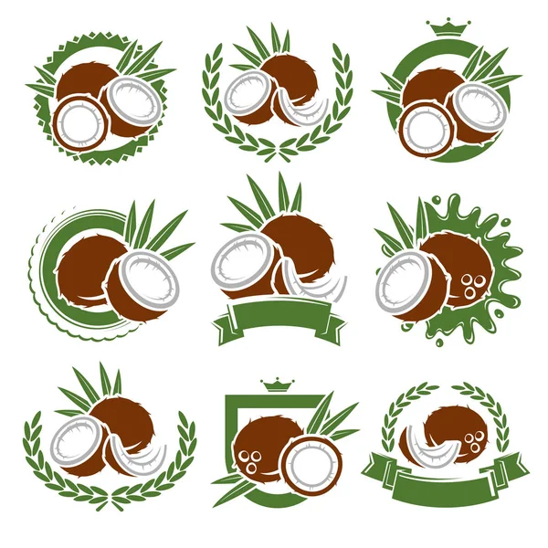 Coconut labels and elements set. Vector — Stock Vector