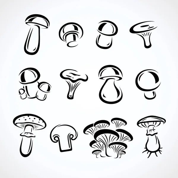 Mushroom set. Vector — Stock Vector