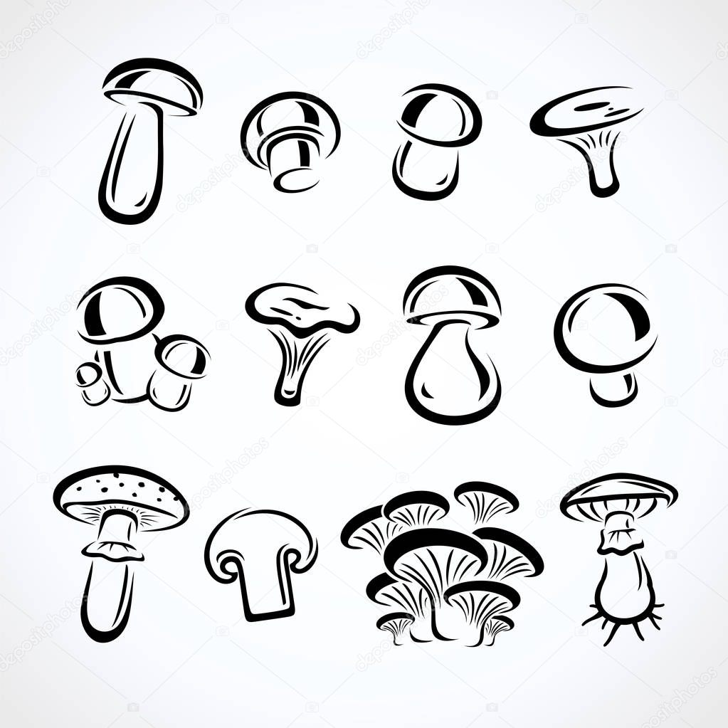 Mushroom set. Vector