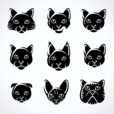 Kedi küme. Vektör
