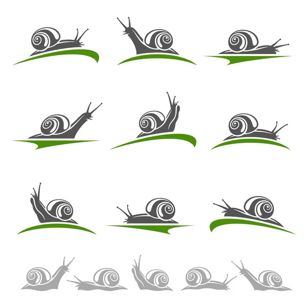 Snail set. Vector — Stock Vector